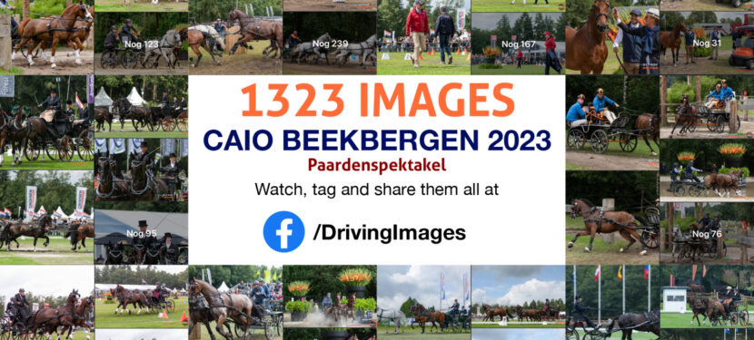 CAIO Beekbergen 2023 – Paardenspektakel at Riant Equestrian Center