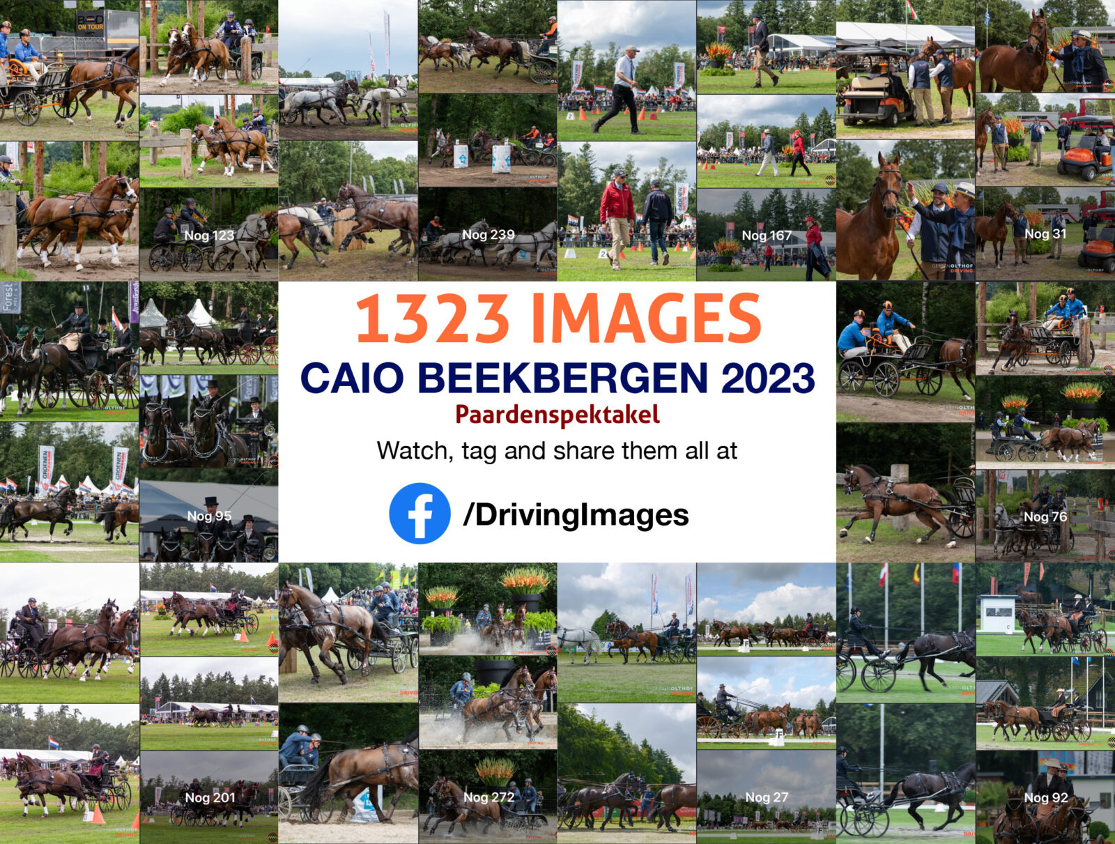 CAIO Beekbergen 2023 – Paardenspektakel at Riant Equestrian Center